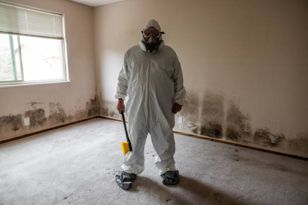 Best Residential Mold Removal  in Center Point, NM