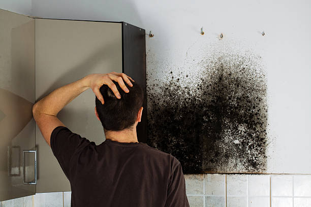 Best Affordable Mold Removal  in Center Point, NM